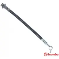 Brembo Bremsschlauch ESSENTIAL LINE T 56 163