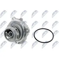 NTY Wasserpumpe [Hersteller-Nr. CPW-AU-038] für Citroën, Ford, Nissan, Lancia, Skoda, Ds, Mazda, BMW, Suzuki, VW, Fiat, Volvo, Peugeot, Mini, Renault,