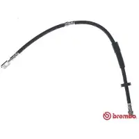 Brembo Bremsschlauch ESSENTIAL LINE T 85 157
