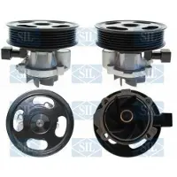 Saleri SIL Wasserpumpe PA1720