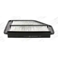 Champion Luftfilter CAF100894P