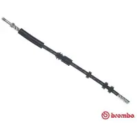 Brembo Bremsschlauch ESSENTIAL LINE T 85 139