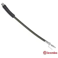 Brembo Bremsschlauch ESSENTIAL LINE T 24 146