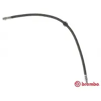 Brembo Bremsschlauch ESSENTIAL LINE T 06 039