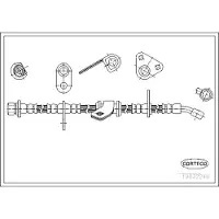 CORTECO Bremsschlauch ERSTAUSRÜSTERQUALITÄT [Hersteller-Nr. 19032246] für Honda