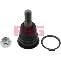 Fag Traggelenk Vorne Unten für NISSAN ALMERA TINO (V10) 825 0002 10