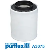 PURFLUX Luftfilter A3075