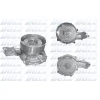 DOLZ Wasserpumpe R618