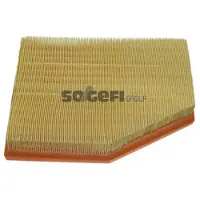 FRAM Luftfilter CA10022