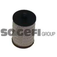 FRAM Kraftstofffilter C9816ECO