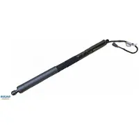 BUGIAD BRD50708 Gasfeder Heckklappendämpfer für BMW X3 (G01, F97)