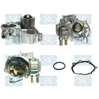 Saleri SIL Wasserpumpe PA1207
