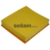 PURFLUX Luftfilter A1087