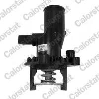 CALORSTAT by Vernet Thermostat, Kühlmittel TE6756.84J