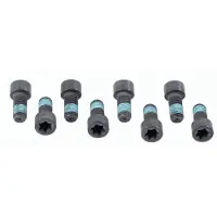 SACHS Schraubensatz, Schwungrad 1874 000 032