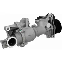 VAICO Wasserpumpe Green Mobility Parts V30-50113