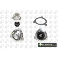 BGA Wasserpumpe CP7208T