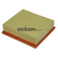 PURFLUX Luftfilter A1238