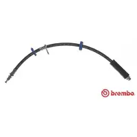 Brembo Bremsschlauch [Hersteller-Nr. T23193] für Citroën, Peugeot, Fiat