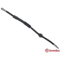 Brembo Bremsschlauch ESSENTIAL LINE T 24 150