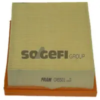 FRAM Luftfilter CA5501