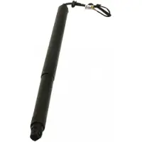 MAXGEAR Gasfeder, Koffer-/Laderaum 12-2568