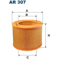 FILTRON Luftfilter AR307