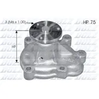 DOLZ Wasserpumpe O142