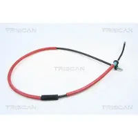 TRISCAN Seilzug Feststellbremse Trommelbremse für RENAULT MODUS
