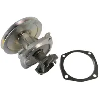THERMOTEC Wasserpumpe D1F050TT