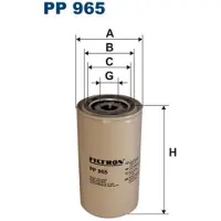 FILTRON Kraftstofffilter PP965