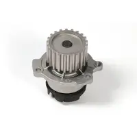 HEPU Wasserpumpe P625