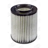 Champion Luftfilter CAF100499C