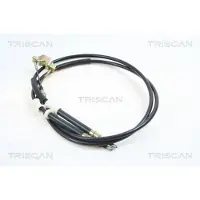 TRISCAN Seilzug, Feststellbremse 8140 24160