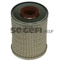 PURFLUX Kraftstofffilter C494E