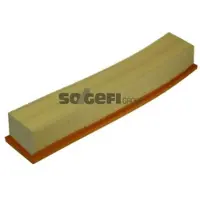 PURFLUX Luftfilter A1138