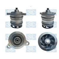 Saleri SIL Wasserpumpe PA1230E