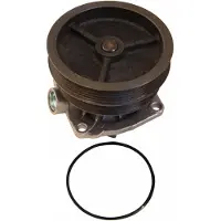 MAPCO Wasserpumpe 21018