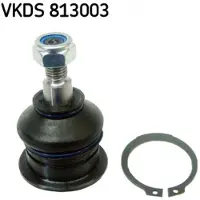 Skf Traggelenk für HONDA Accord VII Limousine (CL, CN) VKDS 813003