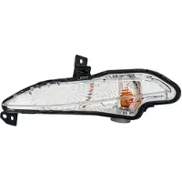 Hella Blinkleuchte 2BA 011 395-031 Links
