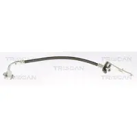 TRISCAN Bremsschlauch F10x1 & Banjo IAM-Expertise für TESLA MODEL