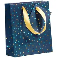 Clairefontaine 5x Geschenktasche Premium S 12x4,5x13,5cm, gestreift, Kollektion Blaue Nacht - Blau 212865C