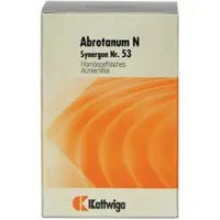 Kattwiga Arzneimittel GmbH SYNERGON KOMPLEX 53 Abrotanum N Tabletten 200 St