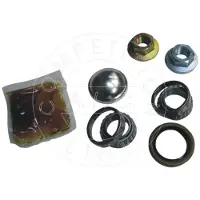AIC Radlagersatz Hinten Links Hinten Rechts für FORD Fiesta Mk5 Schrägheck (JH1, JD1, JH3, JD3) 50mm 52738