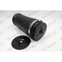 Monroe ASP005 Luftfederung Luftfeder passend für MERCEDES-BENZ M-Klasse (W164)