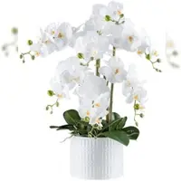 Creativ Green künstliche Pflanze Phalaenopsis, 60cm, "Real Touch"