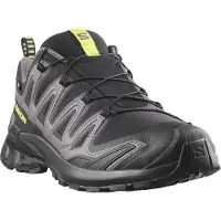 Salomon XA PRO 3D V9 GTX, Trailschuhe, Herren, schwarz/grün