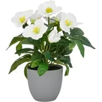 Creativ Green Kunstblume "Christrose", weiß, H:31cm, Polyester, Kunstpflanzen, Kunstblume, mit üppiger Blütenpracht