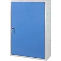 Proregal Werkzeugwandschrank mit Tür 8 Haken HxBxT 75 x 50 x 20 cm Lichtgrau Lichtblau