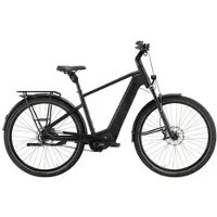 Pegasus Estremo EVO 12 Lite 800 Wh Herren schwarz 2027 - 28" - 60 cm